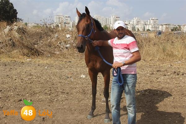 khoyoul lud 0610 (22).JPG